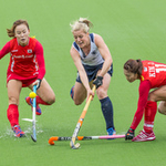 Sport portfolio