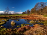 Yorkshire portfolio