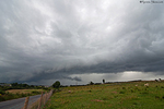 Storms portfolio