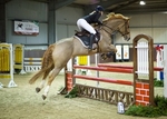 LINK_TO - NorthcoteStud Thurs19thDec'13 SeniorBS ClearRoundOnwards portfolio