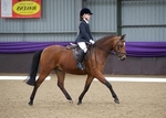 LINK_TO - Northcote Sun16thMarch'14 DressageWinterChamps portfolio