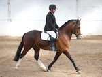 LINK_TO BartonEC Sat16thMay'15 Unaff.Dressage portfolio