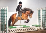 LINK_TO - BartonEC Sun25thMarch'12 WinterRC_ShowJumping portfolio