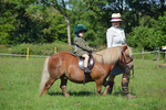 Portman Hunt PC Open Show 2017