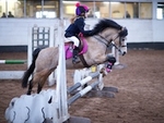 LINK_TO BartonEC T'BlazersJumping Sun10thMarch'19 portfolio