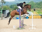 LINK_TO Northcote 22ndSept'19 Northcote Snr.BSJumping portfolio