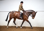 LINK TO - BartonEC Sun3rdMarch'13 WinterRC_Showing portfolio