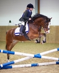 LINK TO - NorthCoteEC Sat29thDec'12 Unaff.ShowJumping portfolio