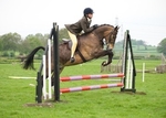 LINK_TO - LancasterPonyClub MayDayShow Monday5thMay'14 portfolio