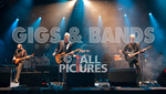 JERSEY LIVE portfolio