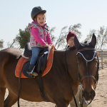 Hobby Farm Pony Ride portfolio