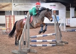 LINK_TO Northcote 22ndDec'19 BartonEC XmasShowJumping portfolio