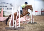 LINK TO - BartonEC Wed24thApril'13 Unaff.ShowJumping portfolio