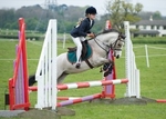LINK TO - LancasterPonyClub OpenMayDayShow'12 portfolio