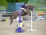 LINK_TO Northcote Sun22ndMay'16 Unaff.ShowJumping portfolio