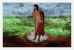 Art Nude portfolio