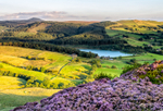 Macclesfield Countryside portfolio