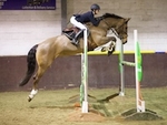 LINK_To NorthcoteSnr.BSJumpin Sun20thJan'19 portfolio
