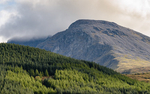 Fort William portfolio