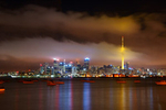 Auckland portfolio
