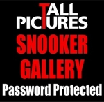 PRIVATE SNOOKER GAME portfolio