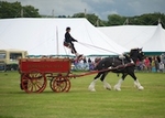 LINK_TO GarstangShow 1stAugust'15