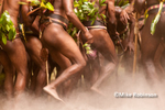 Vanuatu cultural festivals portfolio