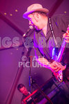 BIG BOY BLOATER portfolio