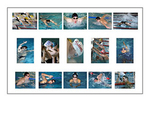 My ARPS portfolio
