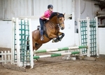 LINK TO - BartonEC Wed12thJune'13 Unaff.ShowJumping portfolio