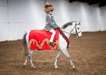 LINK TO - BartonEC_Sun30thDec'12 ChristmasShow (MainlyFancyDressClasses) portfolio