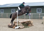 LINK_TO - NorthcoteStud Sunday23rdFeb'14 ArenaEventing portfolio