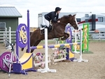 LINK_TO Northcote Sat9thApril'16 Unaff.Jumping portfolio