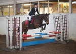 LINK_TO - BartonEC Sat29thNov'14 Arena Eventing (JumpingOnly) portfolio