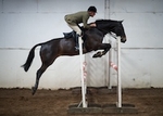 LINK_TO _ BartonEC Sat18thOct'14 SeniorBS_Jumping portfolio