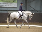 LINK_TO Northcote Sat2ndJuly'16 Unaff.Dressage portfolio