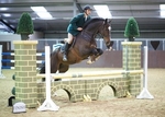 LINK_TO - NorthcoteStud Thurs18thSept'13 BritishShowjumping ClearRound &_BritishNovice portfolio