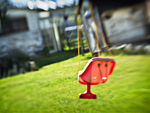 The Backyard Series portfolio