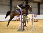 LINK_TO Northcote 29thSept'19 Snr.BSJumping portfolio