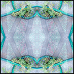 Transparencies portfolio