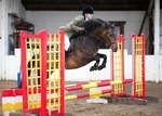 LINK TO - BartonEC Sat28thJuly'12 SummerRC_ShowJumping portfolio