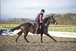 LINK TO - BA Equestrian 21st November '10 portfolio