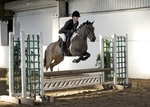 LINKS TO - Barton Events January '11 portfolio