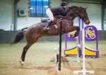 LINK_TO Northcote 19thNov'17 Unaff.Jumping portfolio