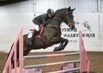 LINK TO - Barton_EC Sat_26th_Nov_'11 Senior_BSJA_ShowJumping portfolio