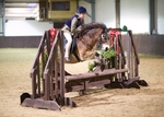 LINK_TO - NorthcoteStud Sunday22ndtDec'13 Unaff.WorkingHunter portfolio