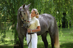 Paula & Horses portfolio