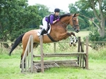 LINK_TO BartonEC Sat23rdJuly'16 Mini1DayEventing portfolio