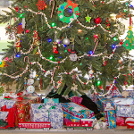 Jamie Chapman Family 2019 portfolio