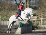 LINK_TO SomerfordPark XC_Training Sun8thMarch'15 portfolio